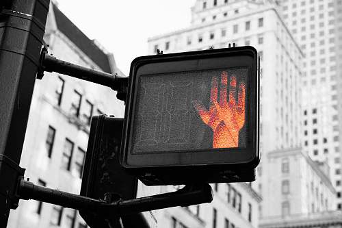 traffic light closeup photo of street go and stop signage displaying stop new york
